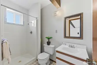 Bathroom at lower level