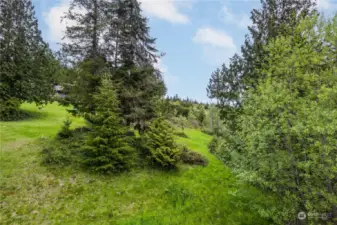 Top of the lot is right above these trees and it gently slopes down to the right. 3/4 acre is plenty to build a custom home. Property comes with sellers building plans for home with walkout basement. Sewer connection is paid!