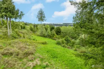 Lovely 3/4 acre lot extends across the top of this ridge and slopes to the right.