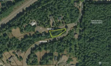 Aerial view of lot showing proximity to national forest