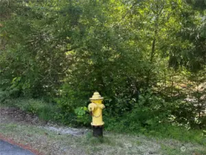 Community water system hydrant on lot on Summit Dr providing close fire protection