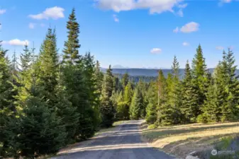 Very rare opportunity to have a mountain range with a pretty LEVEL driveway too!