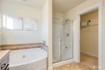 Huge tub plus shower and walk in closet.