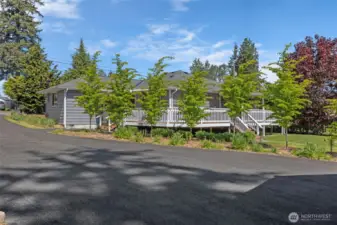 Fully sustainable backyard designed by a master gardner