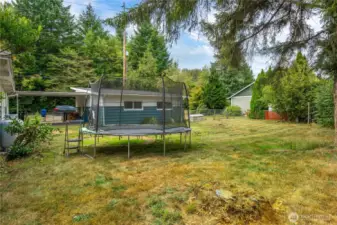 Large yard for playing or for animals