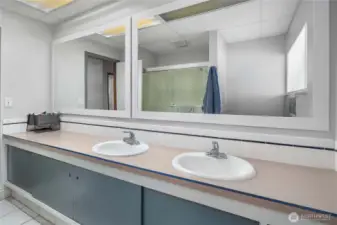 At least the one full bathroom has a lot of counter space!