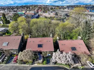 Notice how many trees surround the property.