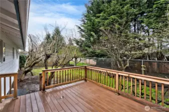 spacious backyard deck