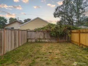 Fenced Back yard