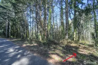 Photo of eastern side of property - path-like clearing between subject property and neighbor to the east where the property drops off