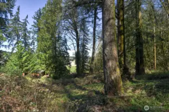 Western side of lot with view of stable that belongs to 7618 Holiday Valley (neighbor to the west). Seller used to own 7618 Holiday Valley Drive