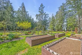 Delight in your garden of flowers, fruit trees and vegetibles.