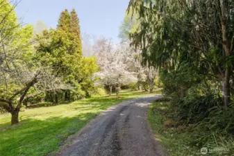 A tree-lined driveway offers a sense of arrival as it gently leads you into the heart of the property.