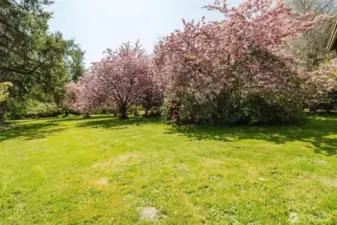 Formerly a public garden, Brinnon Gardens spans 5 lush, fenced acres with rare rhododendrons, azaleas, maples, and more. Includes pond, stream, greenhouse w/climate control, and 2,670 sq ft home + 2 guest studios. Decks, barn, 3-car garage, and gated entry. A botanical paradise at the foot of the Olympics, near Hood Canal—awaiting a green thumb to revive its glory.