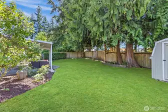 Other View of Backyard