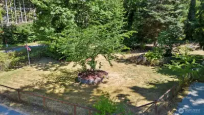 Drone view of front yard and road.