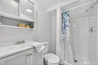 Basement ¾ bathroom featuring a walk-in shower.