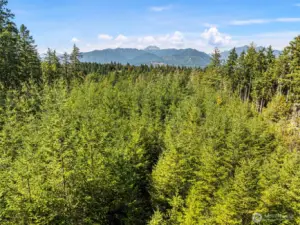 Close to Seabeck marina, Scenic Beach State Park, local hiking trails and more!