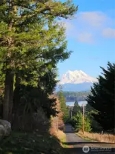 This view is from 408th St E next to the lot. You can see Silver Lake and the mountain.