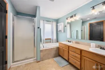 Primary Bath with private shower, bath, large walk in closet.