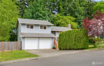 2 car garage with space for 2 more in front and a side grass yard and tall foliage for privacy