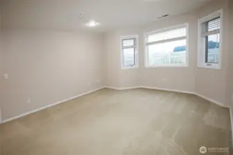 lower level bedroom