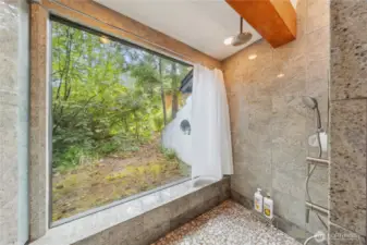Walk-in Shower