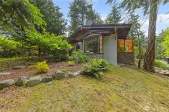 Side Yard