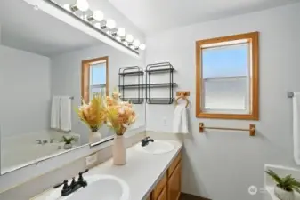Primary bathroom-double sinks