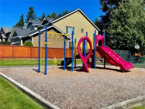 Neighborhood Playground
