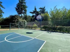 Basketball Court