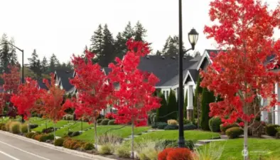 Ovation at Oak Tree - Community Photos