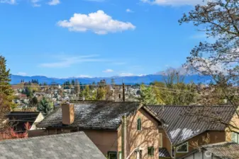 Expansive outlook with Mt Rainier in the vista
