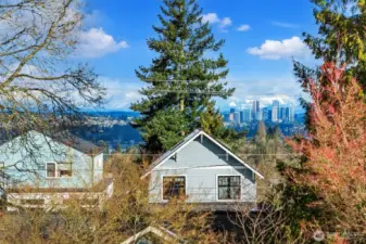 Bellevue skyline views add a dynamic urban backdrop