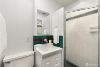 Lower level 3/4 bath