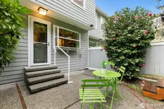 Back patio looking toward the house