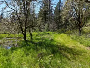 Seasonal Ponding Area off Tobolton Creek