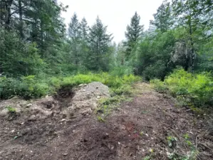 Perk Holes and  Approved Drainfield Area marked by pink ribbons.