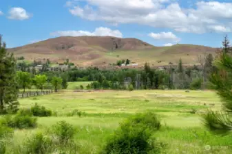 The property features pastoral acreage and expansive views of the scenic Twisp River Valley