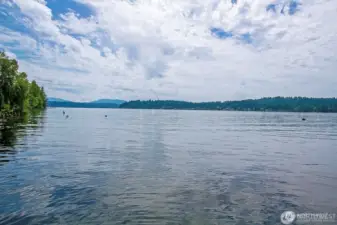 View from Dock
