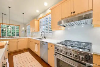 DCS commercial gas range with convection oven, Jenn Air hood