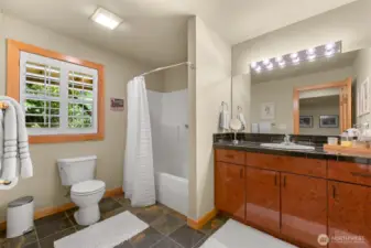 Downstairs full bathroom
