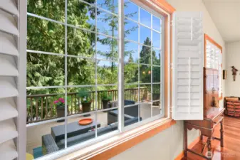 Custom high quality shutters throughout the house. This window looks from the living room out to the deck