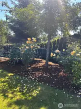 Beautiful landscaping everywhere you look.