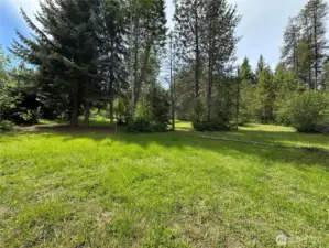 Park-like setting