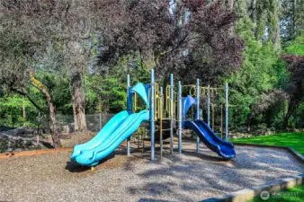 Community playground