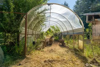 Greenhouse