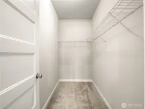 Main level - Primary bedroom walk-in closet