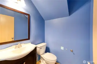 Downstairs 1/2 Bathroom
