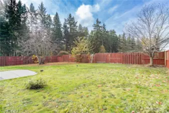 Large back yard has room for gardening or pets.